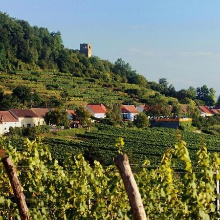 Апартаменти Prabatsch-Aichinger Winzergut Ланґенлойс Екстер'єр фото