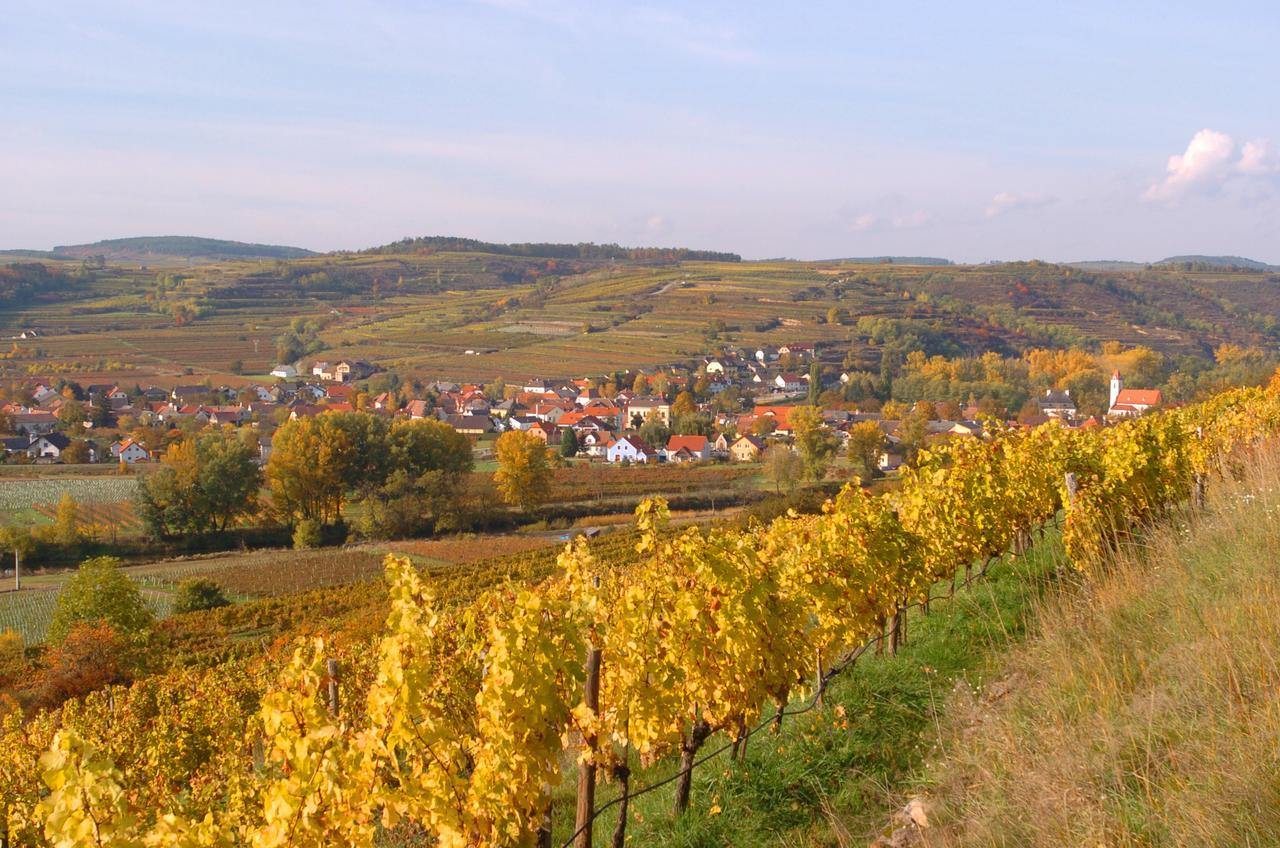 Апартаменти Prabatsch-Aichinger Winzergut Ланґенлойс Екстер'єр фото