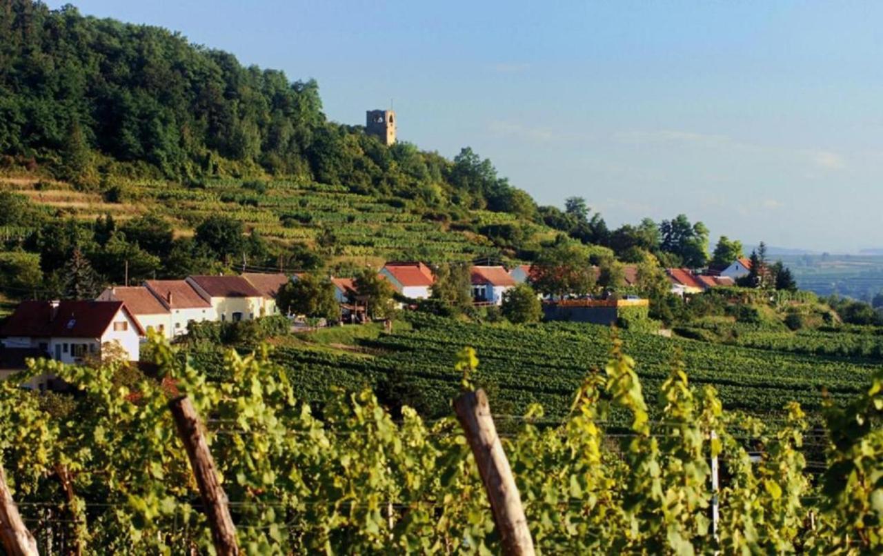 Апартаменти Prabatsch-Aichinger Winzergut Ланґенлойс Екстер'єр фото